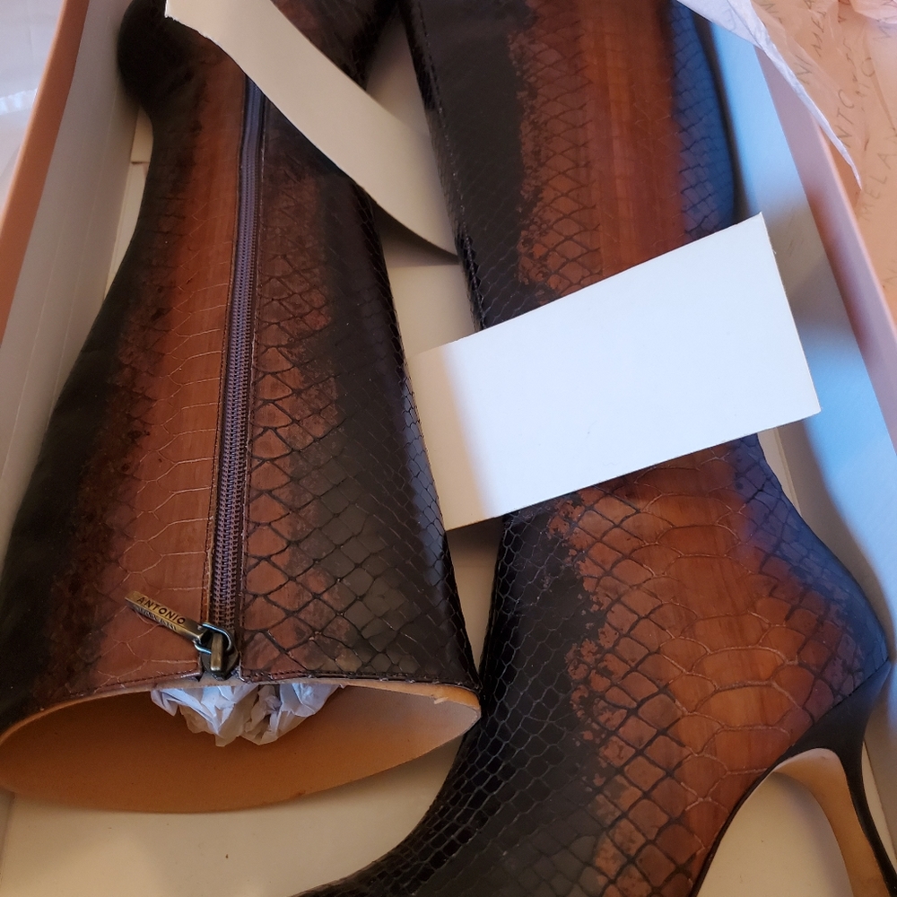 ANTONIO MELANI Brown Snakeskin Knee-High Stiletto Boots - Picture 5 of 7